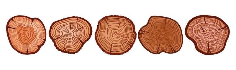 Tree wooden cut vector set, timber cross-section history circle on white, texture trunk age ring kit. Round brown pine annual shape, nature oak circular texture top view. Wooden cut collection