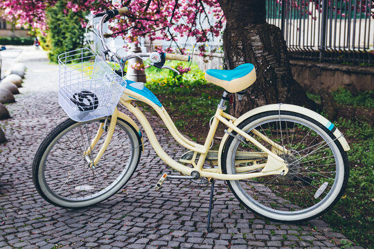 Bicycle in the park, retro bicycle on the sidewalk, bicycle rental, bicycle near a tree.