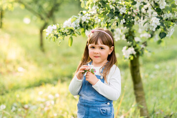 cute girl in a spring garden near blooming apple trees. Portrait of a child on the background of flowering