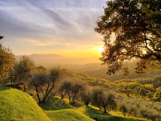 Fototapeta na wymiar Valgiano, Province of Lucca, Italy - Oct 24, 2021: Sunset over Lucca, Italy