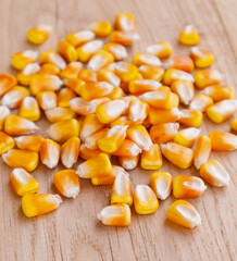 Heap of raw corns seeds, maize or sweetcorn kernels on wooden background. Selective focus