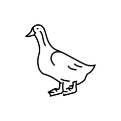 Duck bird color line icon. Pictogram for web page