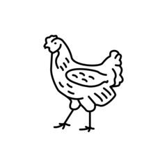 Chicken bird color line icon. Pictogram for web page