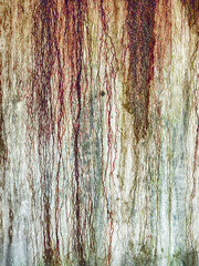 Obraz premium Background Rust Patterns