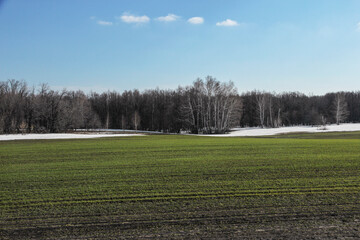 Spring landscape