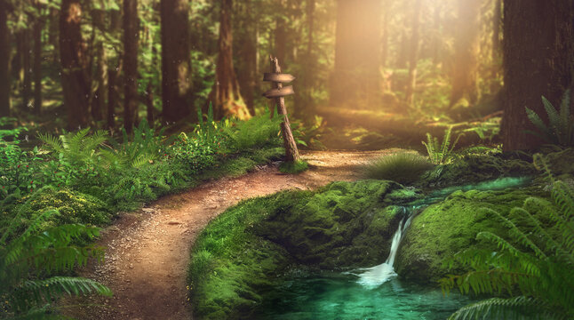 Romantischer Waldweg mit Wegweiser, viel Gr&uuml;npflanzen und einen kleinen Bachlauf, Fantasiebild, Hintergrund, Ersatzhintergrund, 