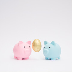 Pastel blue and pink piggy banks with golden egg. Concept of saving, accumulating and preserving money. Love, marriage, marital property composition.