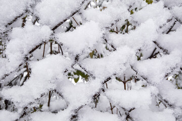 Snowy chain line fence in Winter