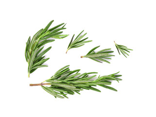 Fototapeta premium Rosemary leaves isolated on white background. Top view