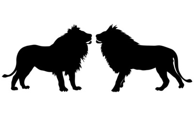 lion silhouette set. isolated vector image on white background