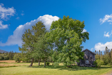 Travel stop at Solheim old courtyard in Bindal municipality on a great summer day,Helgeland,Northern Norway,scandinavia,Europe	