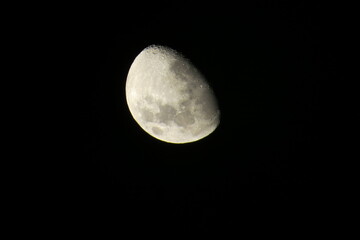 Moon