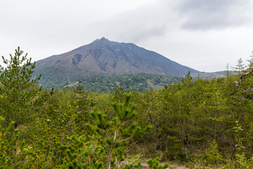 Fototapeta premium Beautiful Sakurajima in japanese city
