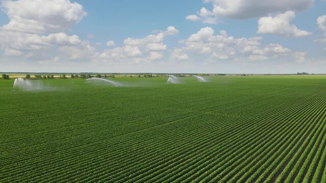 Aerial view drone shot of irrigation system rain gun sprinkler on agricultural soybean field helps to grow plants in the dry season. Landscape rural scene beautiful sunny day