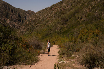 Hiking across the forest and hills. View of a woman trekking along the path across the mountains and grassland. 