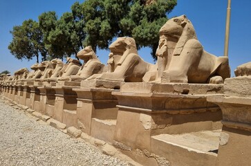 Row of ram-headed sphinxes at Karnak Temple in Luxor, Egypt.