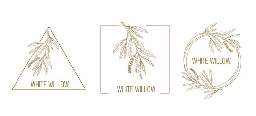 Fototapeta na wymiar Set of white willow floral hand drawn logo templates