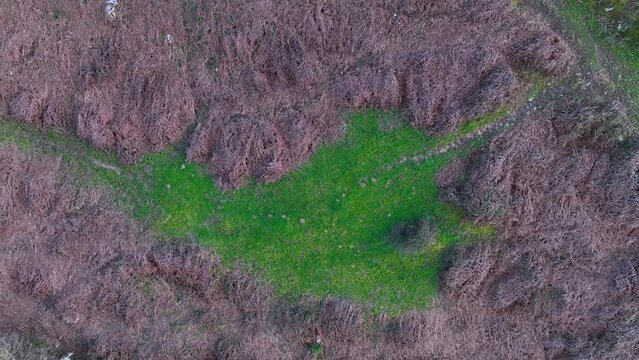Landscape in San Miguel de Aras in the municipality of Voto. Aerial view from a drone. Aras Valley, Cantabria, Spain, Europe