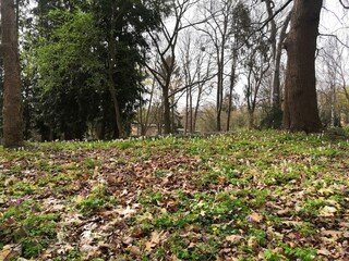 Frühling im Park Hohenrode Nordhausen