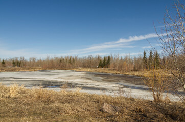 Pylypow Wetlands on an Early Spring Day