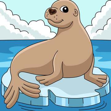 Sea Lion Colored Cartoon Illustration