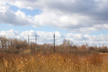 Dry yellow grass in field and electricity poles