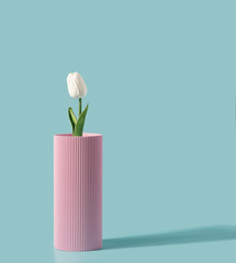 Tulip flower in a pastel pink vase on a light blue background. Spring, summer minimal concept.