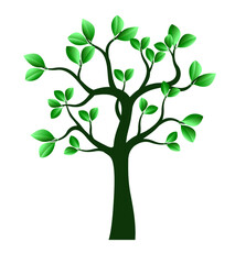 Green Tree. Vector outline Illustration.