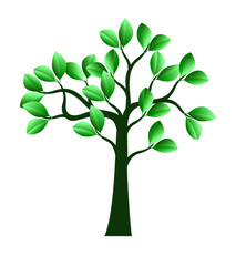 Green Tree. Vector outline Illustration.