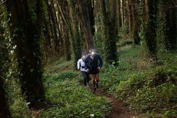 Active man and woman jogging in forest. Two sporty people in sportive clothes exercising outdoors at dusk. Sport, hobby concept