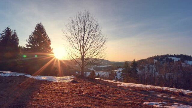 4K Timelapse, sunrise from behind the trees in the spring forest landscape