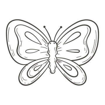 Vector illustration of cartoon doodle isolated butterfly.