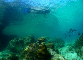 Fototapeta na wymiar diving in a beautiful island in the caribbean sea, Curacao