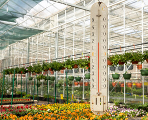 hydroponic greenhouse with climate control system for cultivation