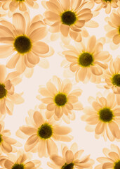 Transparent fresh flowers on white background