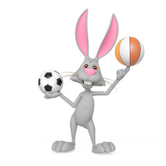 Fototapeta na wymiar rabbit cartoon is holding a soccer ball and also a basketball