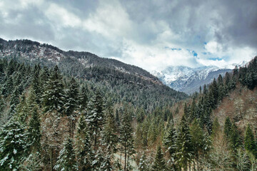 Fototapeta premium Mountain Forest with clouds in the sky and mountain in the background captured with DJI Air 2S Drone