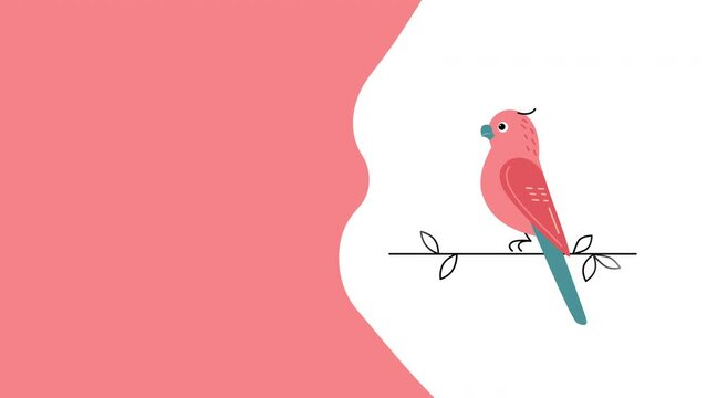 4k video of cartoon pink parrot on white background.