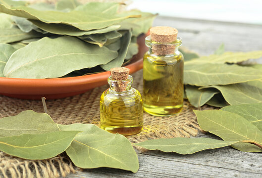 Natural bay laurel essential oil in glass bottles with dried leaves on a wooden table. Healthy lifestyle and beauty concept.