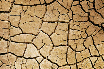 Cracked dry muddy ground texture background