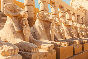 Famous alley of Karnak sphinxes with a Goat heads in Luxor or ancient Thebes. Travel destinations...