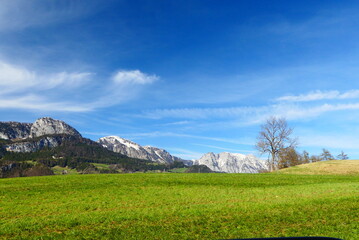 Almen mit Blick auf die Berggruppe Hochangern