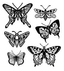 Fototapeta na wymiar Vector set of decorative graphic butterflies. Set of butterfly silhouettes