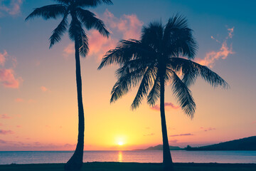 silhouettes of palm trees and ab beautiful ocean sunset 