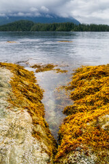 Beach and coastline in the Broken Group Islands, off the west coast of Vancouver Island, BC, Canada