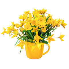 Yellow forest tulips in a yellow cup on a white background. Basis for a postcard. Place for an inscription. Isolate.