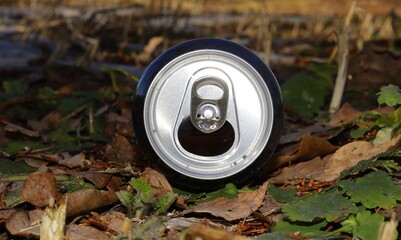 used beer can in nature