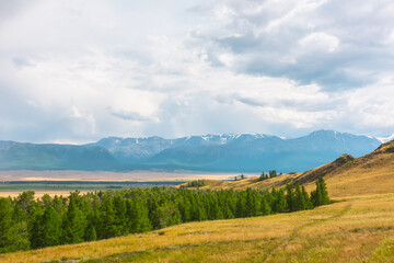 Dramatic alpine view from forest hills to high snow mountain range in sunlight during rain in changeable weather. Green forest and sunlit steppe against large snowy mountains under cloudy sky in rain.