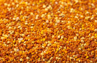 Pollen, beekeeping products close-up as a background. Bee Perga.