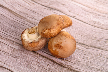 Raw brown champignons mushroom heap